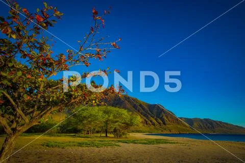 Hawaiian wild beach with mountains on shore bachground Stock Photos