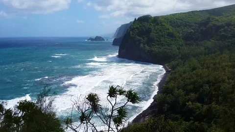Hawaiian_Shore Stock Footage 122699666