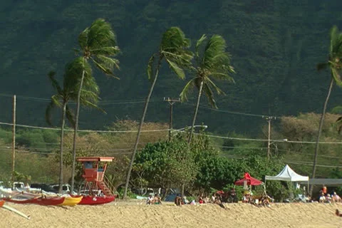 Hawaiin Beach Stock Footage