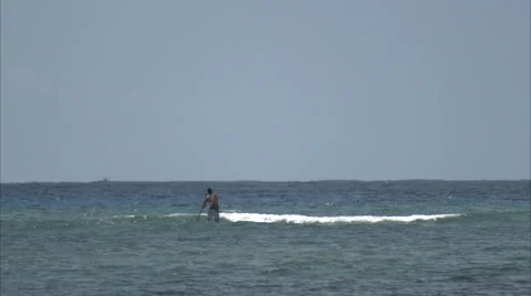 Hawaiin surfer 動画素材 986591