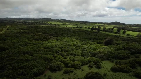 In Hawi with passing clouds change light over trees Drone Aerial View Stock Footage 201121731