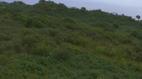 Hawiaan Landscape Stock Footage 56241022