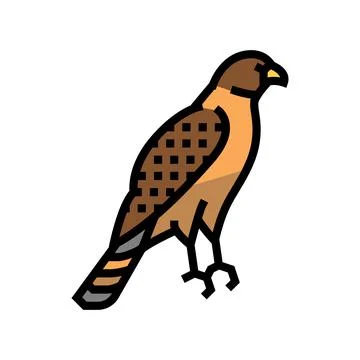 Hawk bird color icon vector illustration Illustrazione stock