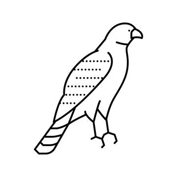 Hawk bird line icon vector illustration Illustrazione stock