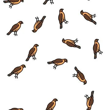Hawk bird vector seamless pattern イラスト素材