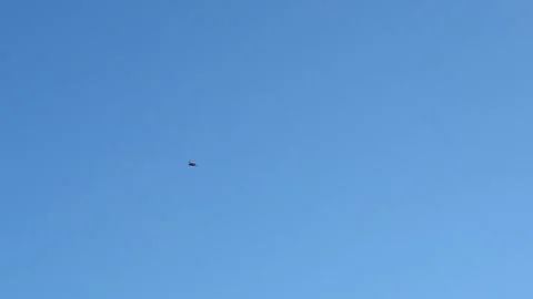 Hawk Circling in the Sky Stock Footage 247527491