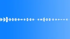 Hawk circling Sound Effect