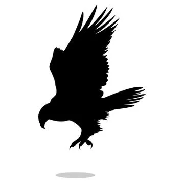 Hawk eagle falcon bird black silhouette animal Illustrazione stock