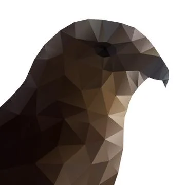 Hawk Eagle Head Polygonal Vector Illustration. Stock-Illustration