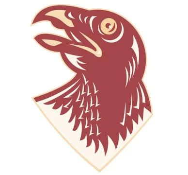 Hawk falcon bird head... Illustrazione stock