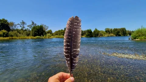 A Hawk Feather Held in Front of the American River on a Sunny Day Stock Footage 314731072