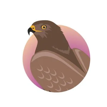 Hawk Flat Design Vector Illustration Stock Illustration