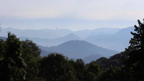 Hawk flying in sky wide open and mountain range in background, North Video stock 152122264