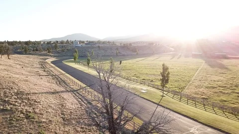 Hawk Stock Footage 101436419