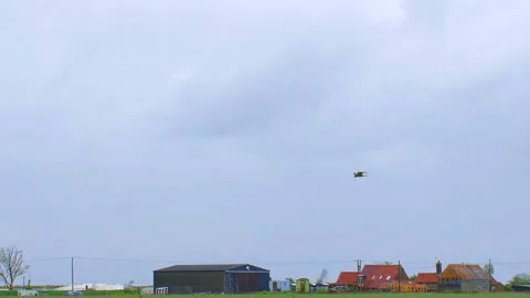 Hawk hunting in slow motion  Stock Footage 154605901