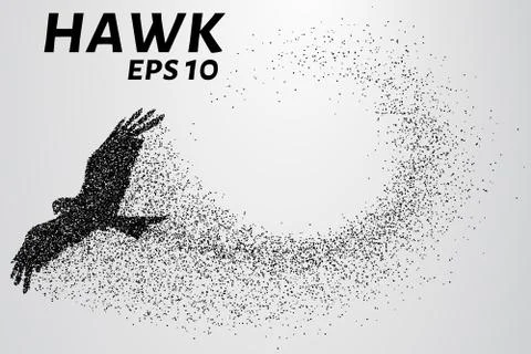 Hawk of the particles. The silhouette of a hawk consists of small circles. Stock Illustration