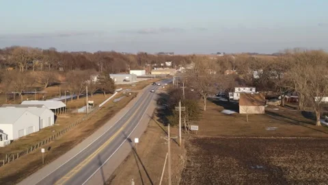 Hawk on  power lines Stock Footage 149539130