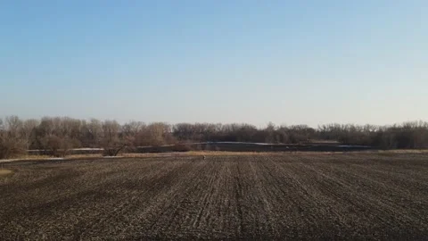 Hawk on power lines Stock Footage 149539769
