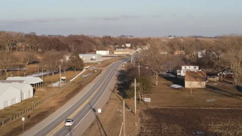Hawk on  power lines Video stock 149539851