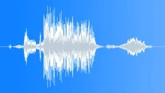 Hawk scream 001Sound Effect