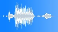 Hawk scream 001Sound Effect