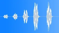 Hawk scream 002Sound Effect