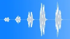 Hawk scream 002Sound Effect