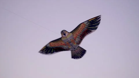 A hawk-shaped kite is flying in the sky. Stock Footage 272582226