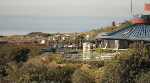 Hawk soaring 6099 Stock Footage 1182243