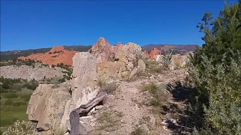 Hawk Takeoff 스톡 동영상 89299668