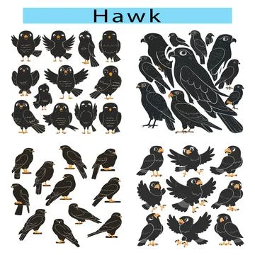 Hawk vector art, Hawk clipart vector image Stock Illustration