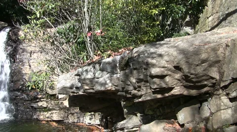 Hawk Waterfalls Stock Footage 908727