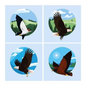 Hawks and eagles birds in the landscape Stock Illustration