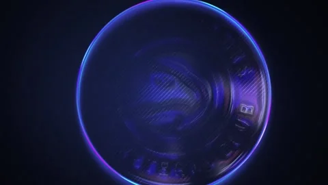 Hawks Stock Footage 222893731