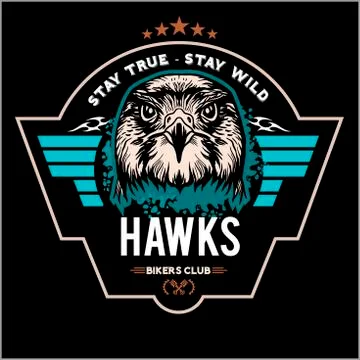 Hawks head logo Template, Hawk mascot graphic Stock Illustration