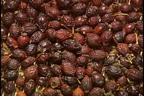 Hawthorn berries 库存影片 11780371