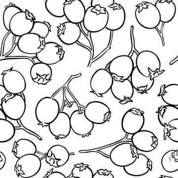 Hawthorn berries vector pattern Stock Illustration