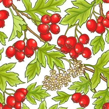 Hawthorn branch vector pattern Stock Illustration