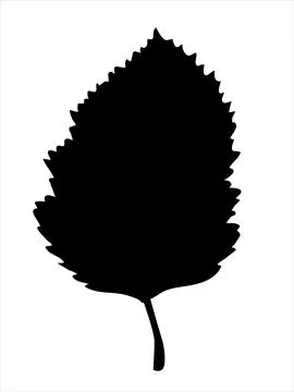 Hawthorn leaf in the doodle style Stock Illustration