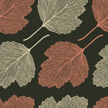 Hawthorn leaf skeleton pattern Illustrazione stock
