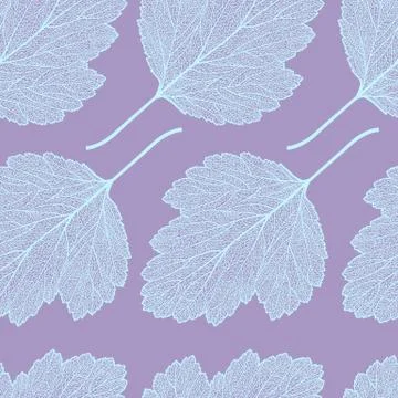 Hawthorn leaf skeleton pattern Stock Illustration