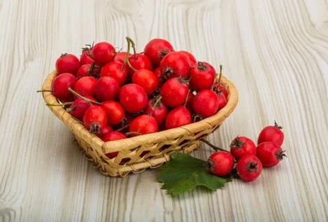 Hawthorn Stock Photos