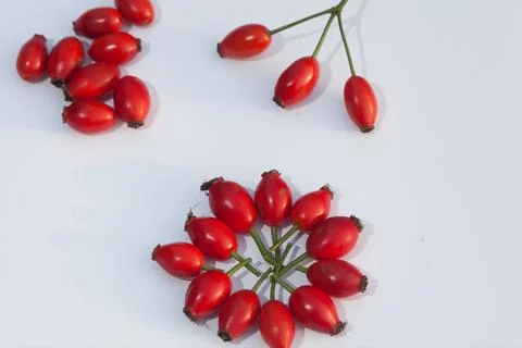Hawthorn Stock Photos