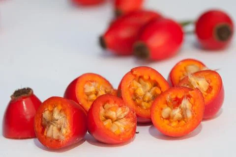 Hawthorn Stock Photos
