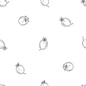 Hawthorn. Vector pattern. Stock Illustration