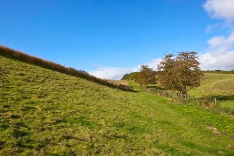 Hawtorn and meadows Stock Photos