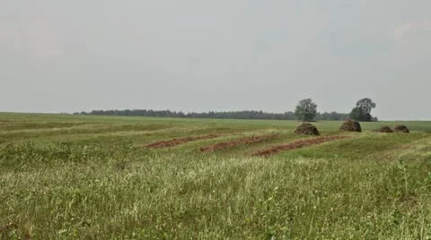 Hay and stacks in the field Stock Footage 11252014
