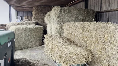Hay And Straw Storage At A Barn/ Farm Stock Footage 219674587