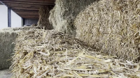 Hay And Straw Storage At A Barn/ Farm Stock Footage 219674588