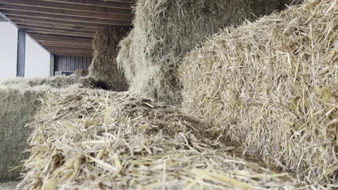 Hay And Straw Storage At A Barn/ Farm Stock Footage 219674599